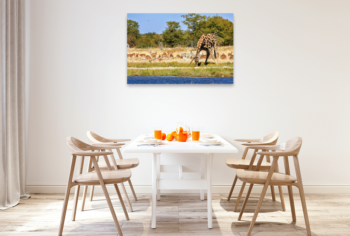 Giraffe am Wasserloch