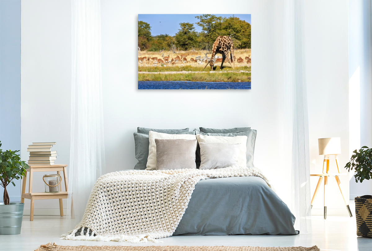 Giraffe am Wasserloch