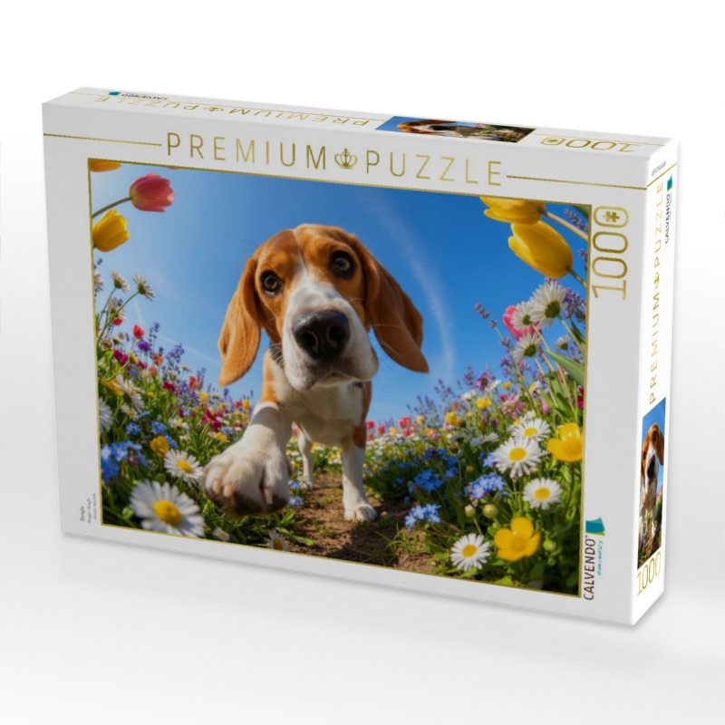 Beagle