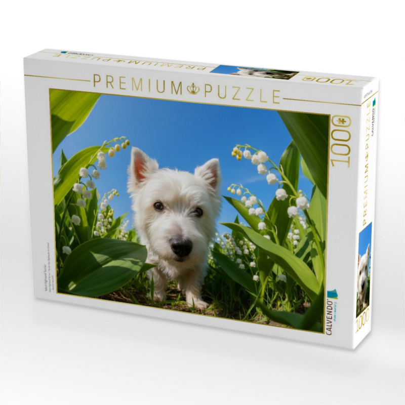 West Highland Terrier