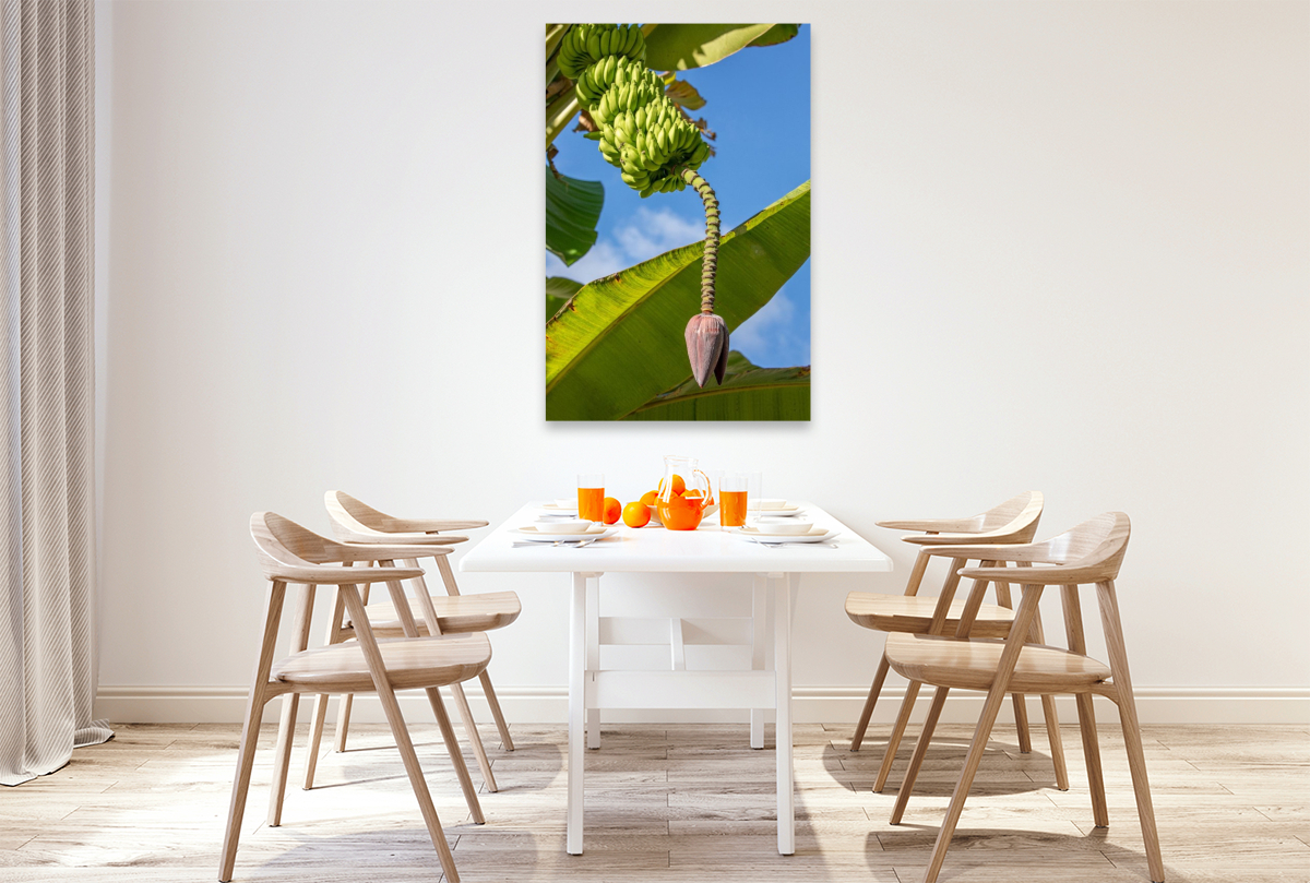 Bananenbaum auf den Seychellen
