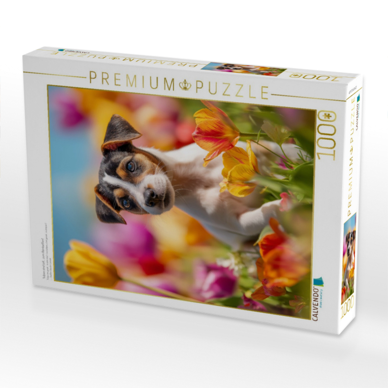 Tulpen sind toll… zum Reinbeißen!