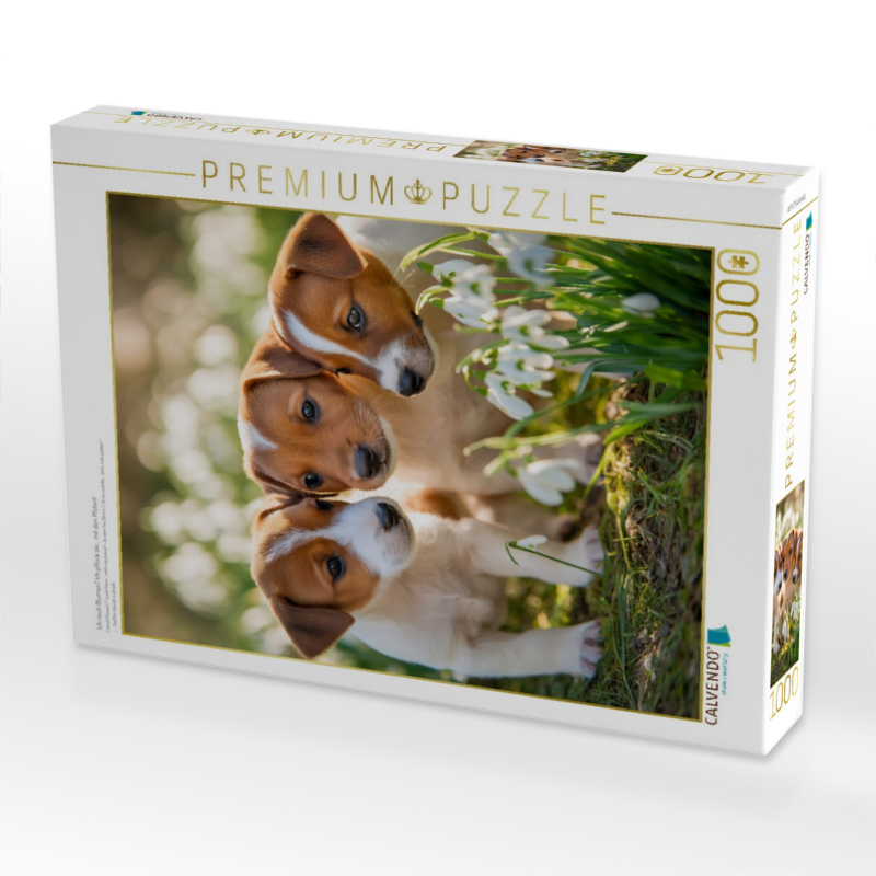 Ich riech Blumen? Ich pflück sie… mit den Pfoten!