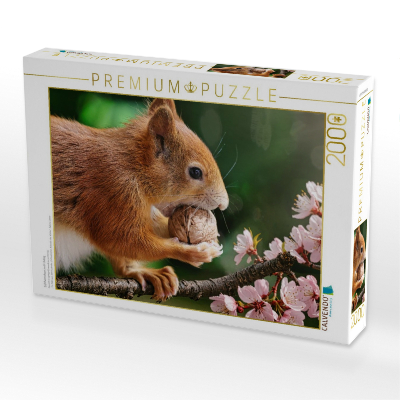 Eichhörnchen im Frühling