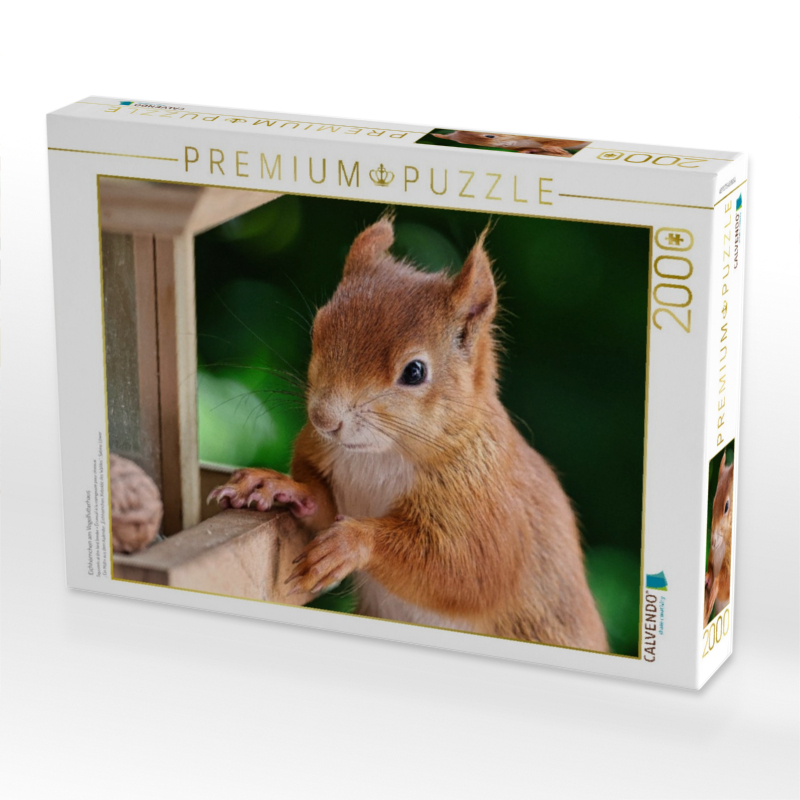 Eichhörnchen am Vogelfutterhaus