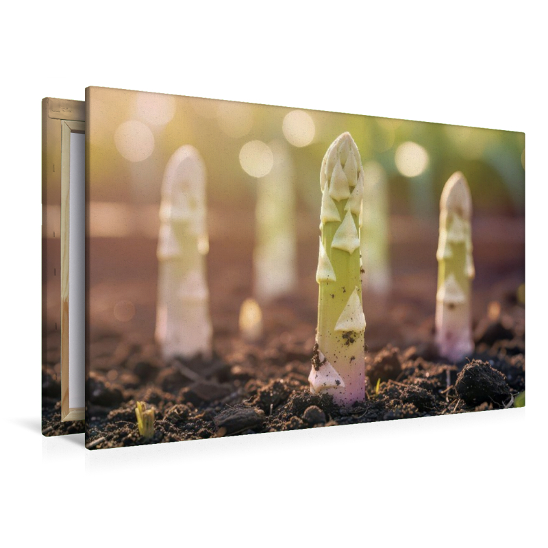 Weißer Spargel – gönn dir Frühling!