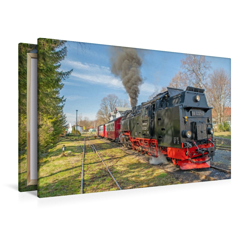 Ausfahrt der Selketalbahn aus Hasselfelde