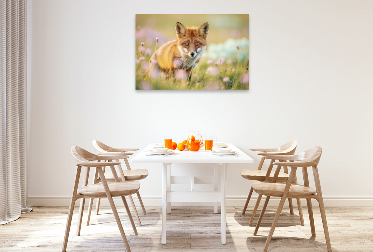 So weich wie Pastell, so clever wie ein Fuchs.