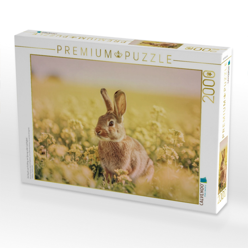Ein Hauch von Frühling, ein Sprung voller Leichtigkeit.