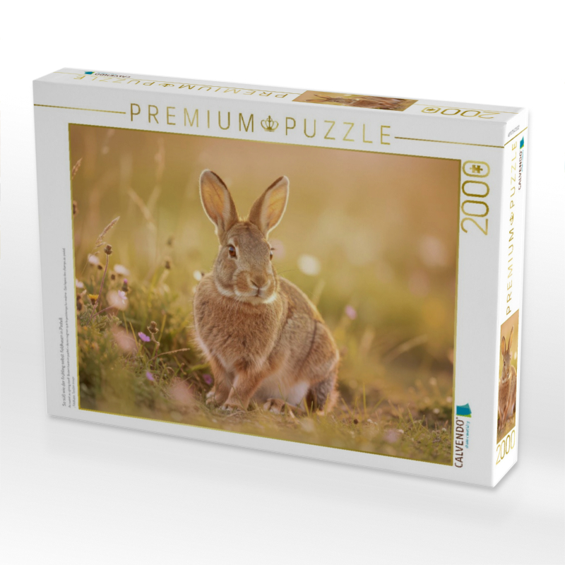 So süß wie der Frühling selbst: Feldhasen in Pastell.