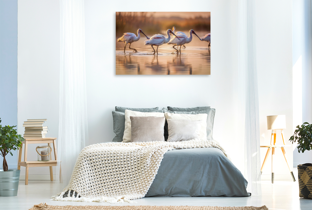 Löffelreiher – inspiriert von der Natur.