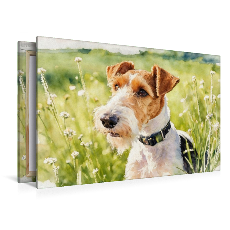 Drahthaar-Foxterrier