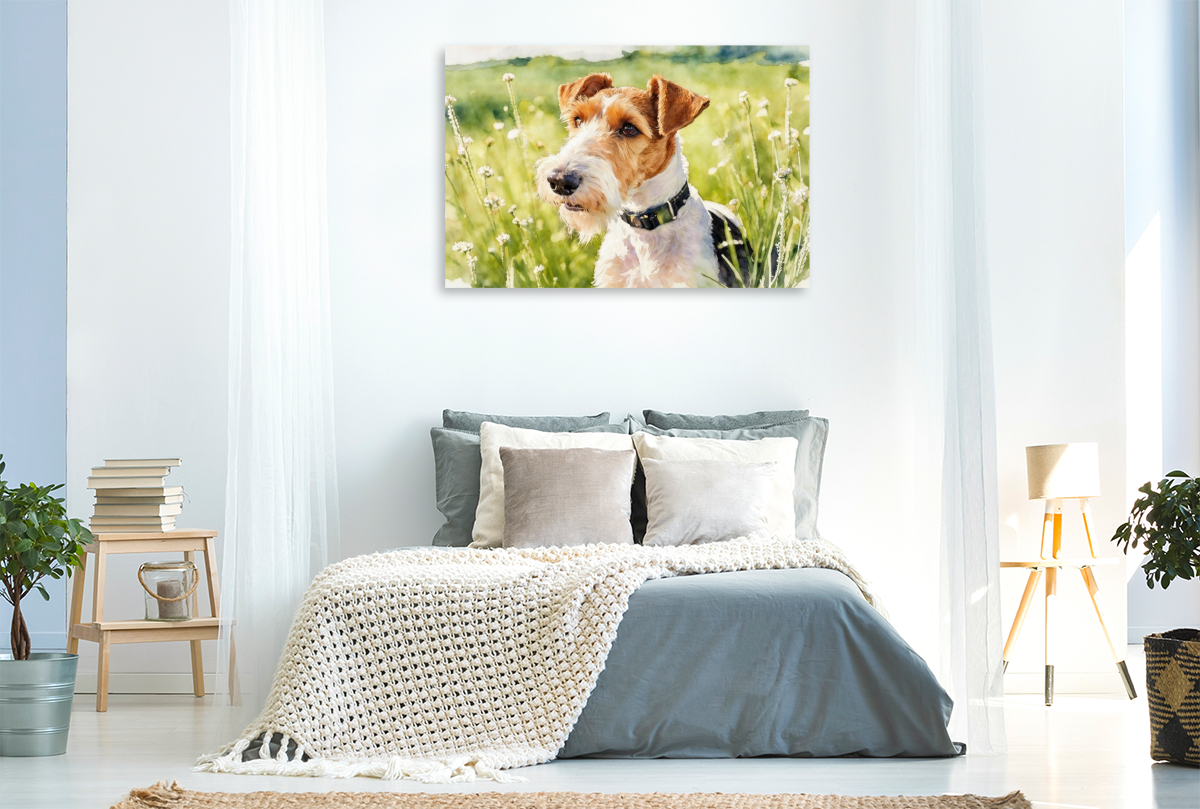 Drahthaar-Foxterrier