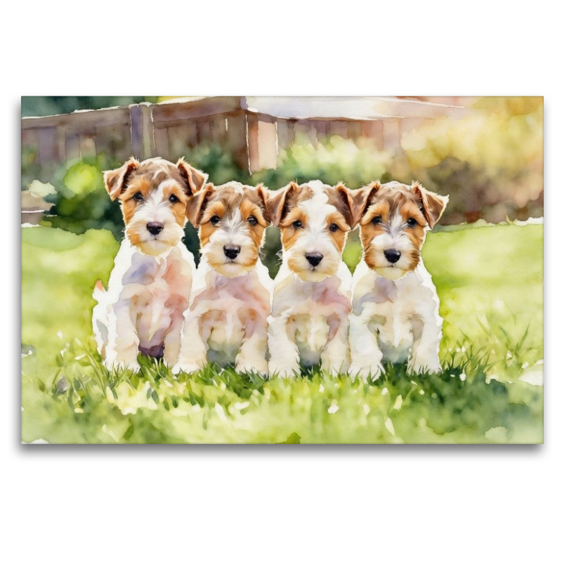 Drahthaar Foxterrier