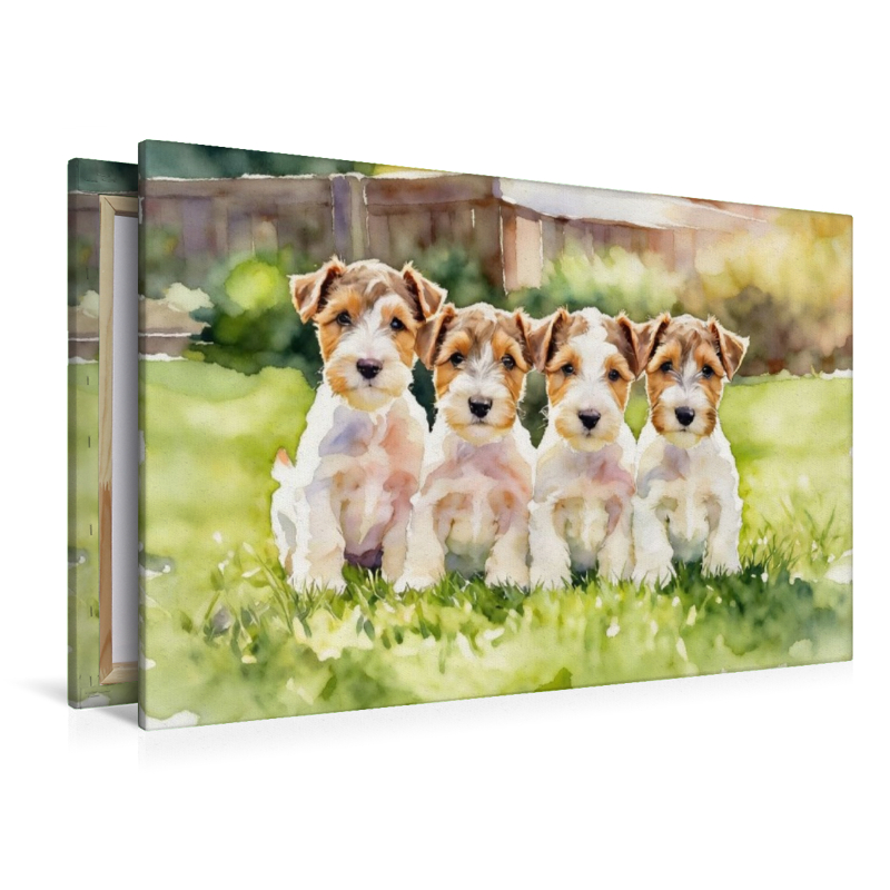 Drahthaar Foxterrier