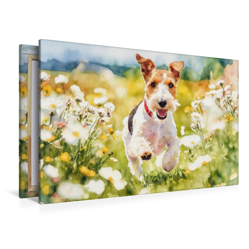 Drahthaar-Foxterrier charmanter Begleiter mit Witz