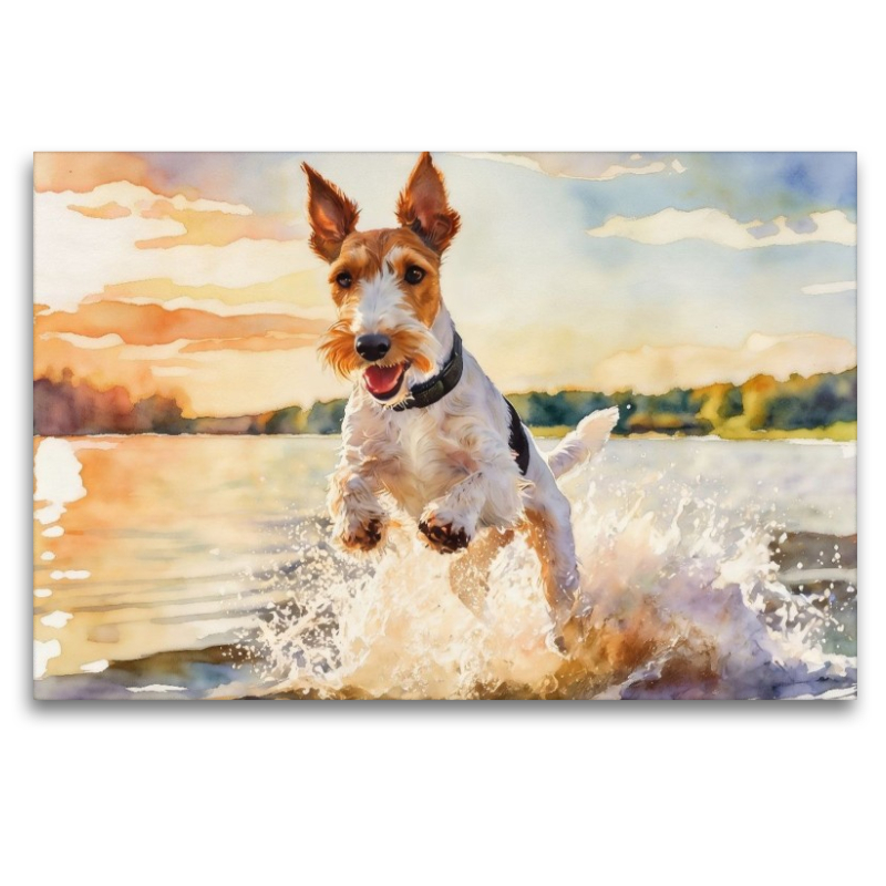 Drahthaar-Foxterrier - sommerliches Vergnügen
