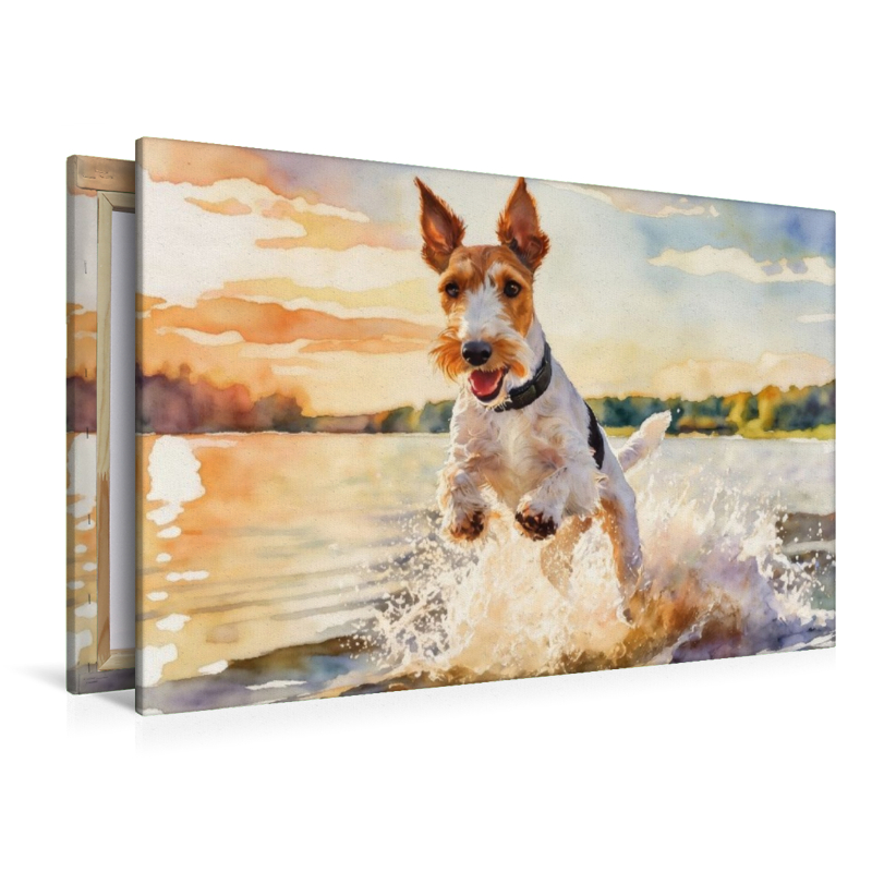Drahthaar-Foxterrier - sommerliches Vergnügen