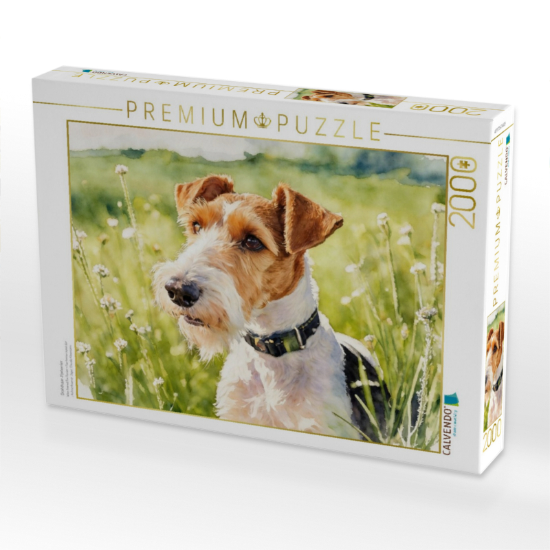 Drahthaar-Foxterrier