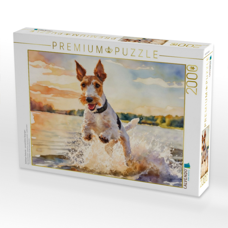Drahthaar-Foxterrier - sommerliches Vergnügen