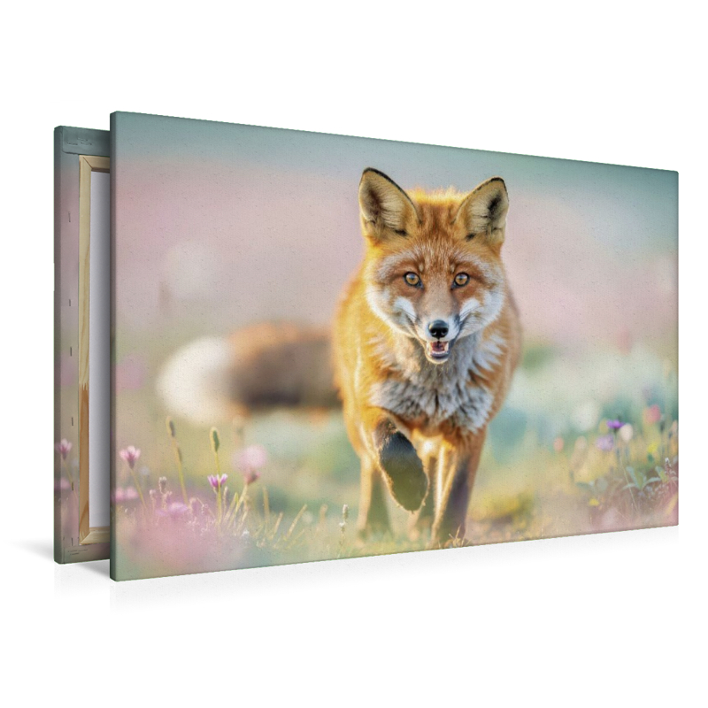 Tierwelt zwischen den Feldern.