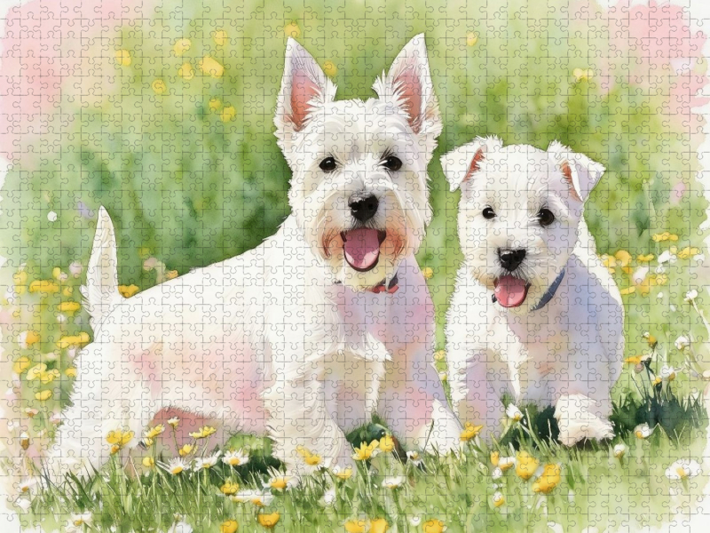 West Highland White Terrier