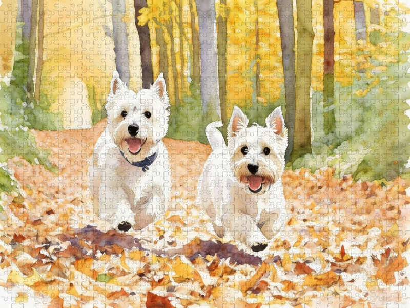 West Highland White Terrier