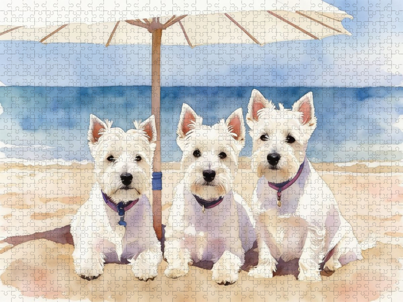West Highland White Terrier