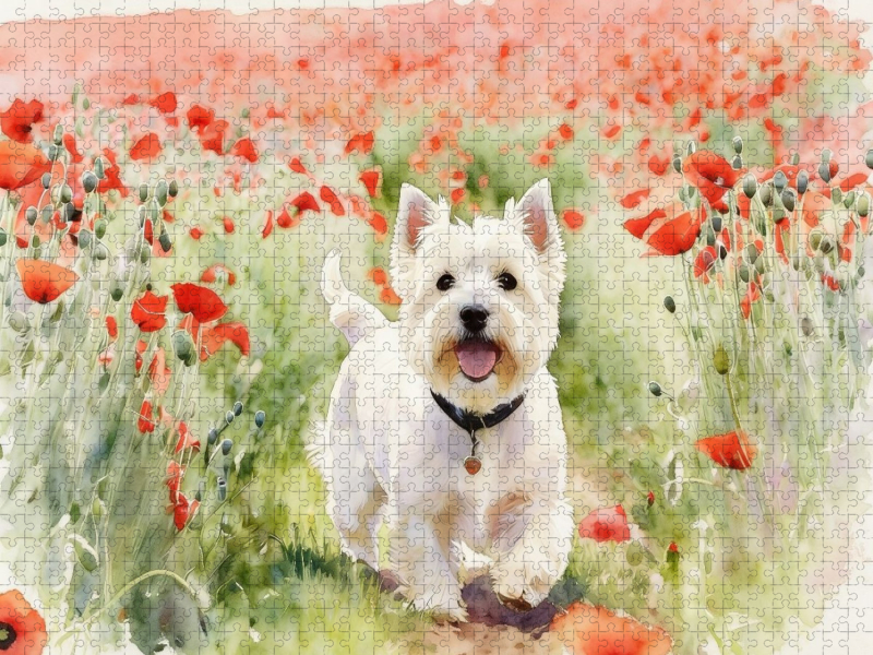 West Highland White Terrier