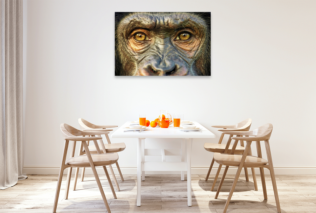 Ein Motiv aus dem Kalender Die Augen der Wildnis
