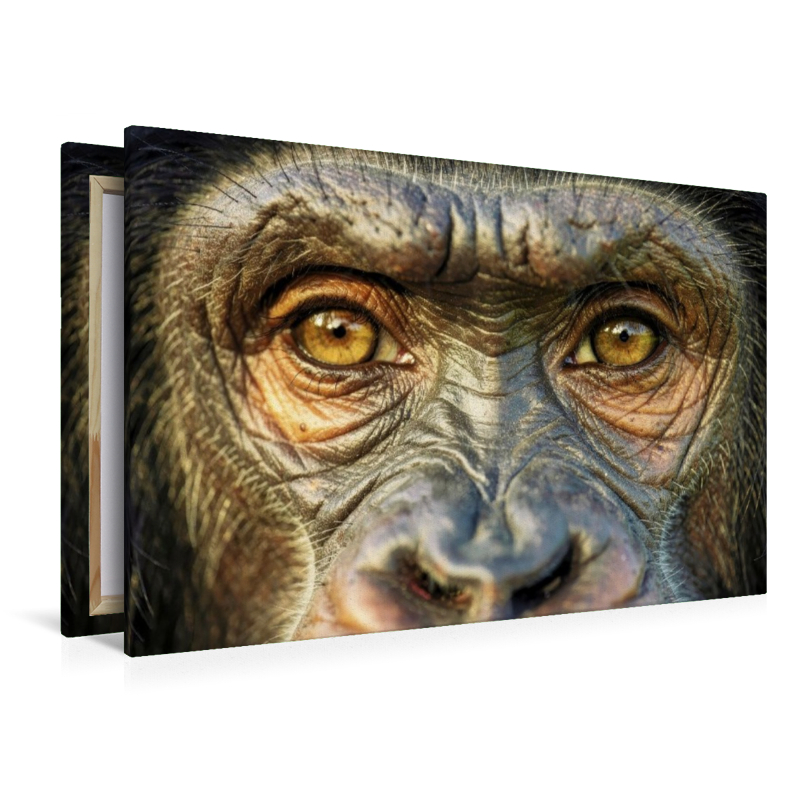 Ein Motiv aus dem Kalender Die Augen der Wildnis