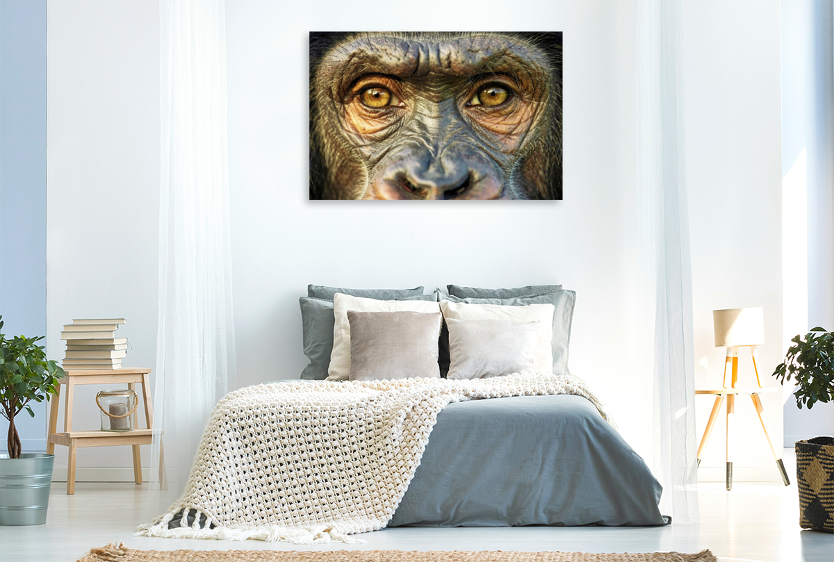 Ein Motiv aus dem Kalender Die Augen der Wildnis