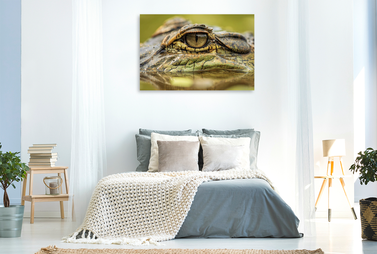 Wo die Wildnis atmet, öffnen sich ihre Augen.