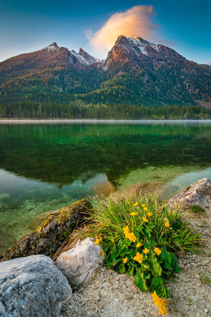 Frühling am Hintersee