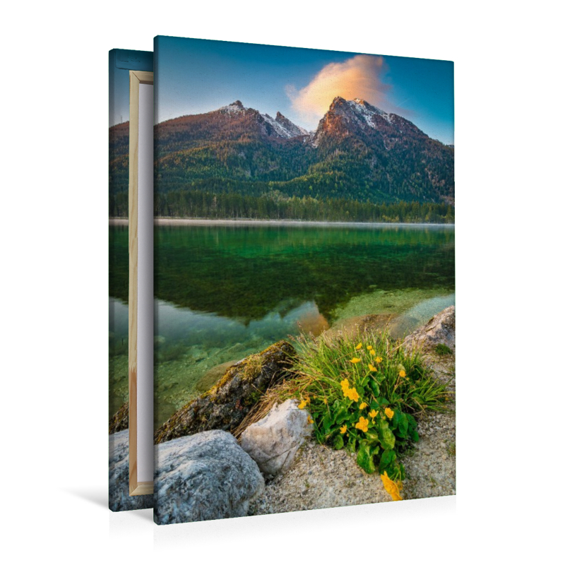 Frühling am Hintersee
