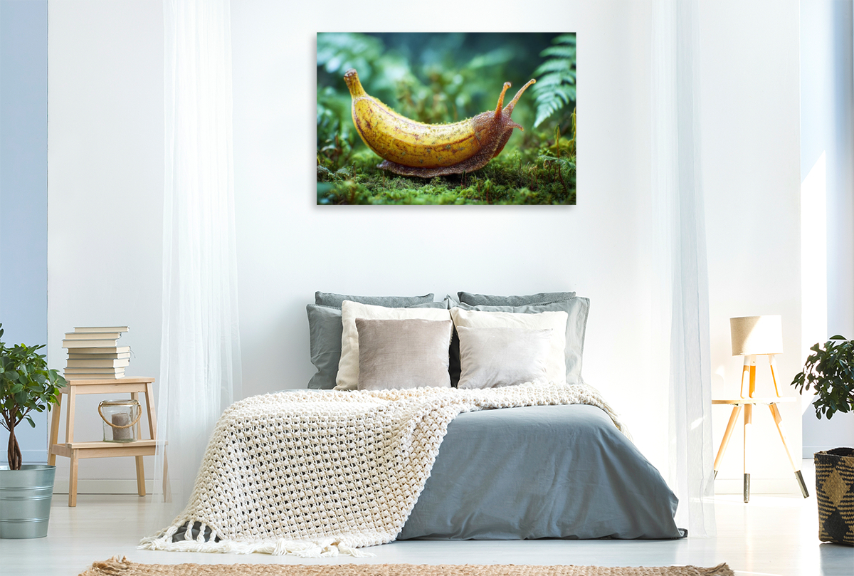 Bananenschnecke