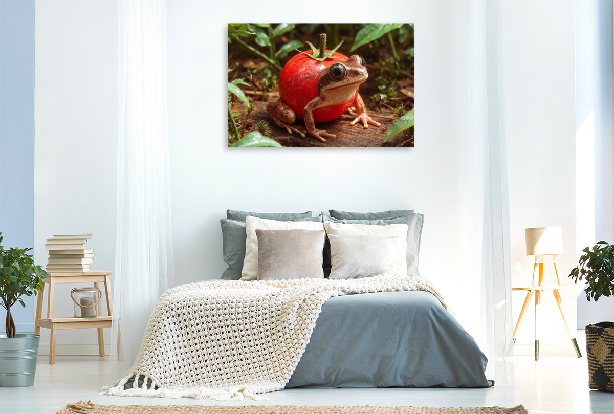 Tomatenfrosch