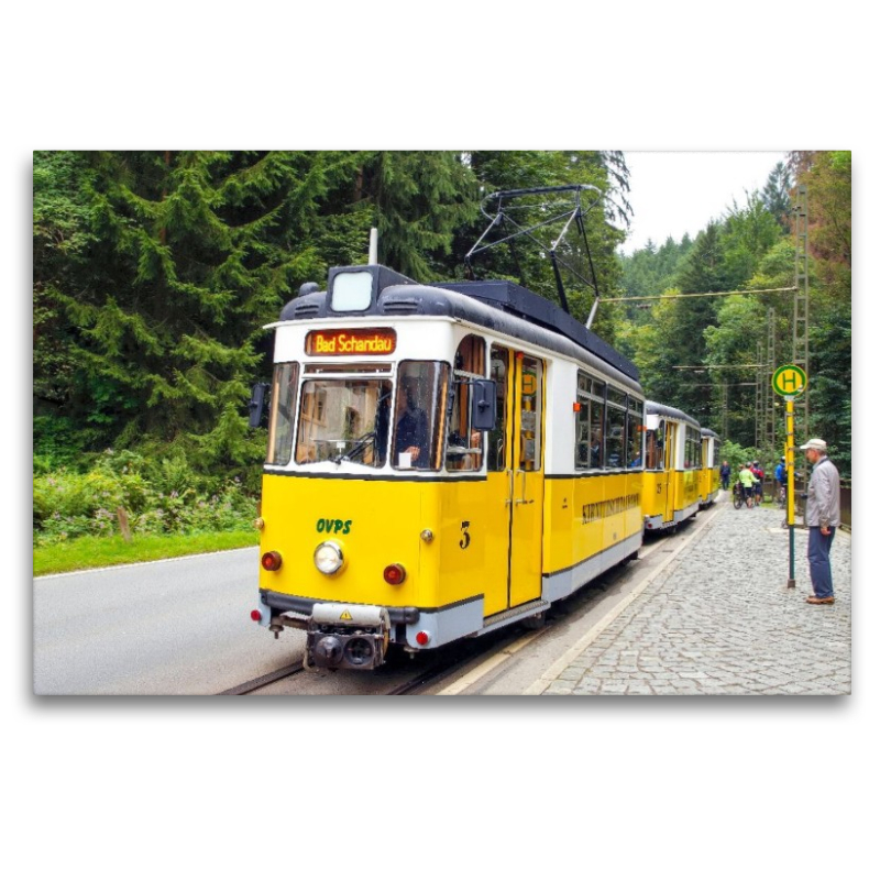 Die Kirnitzschtalbahn - eine historische Überlandstraßenbahn, sie verbindet seit 1898 Bad Schandau mit dem Lichtenhainer Wasserfall