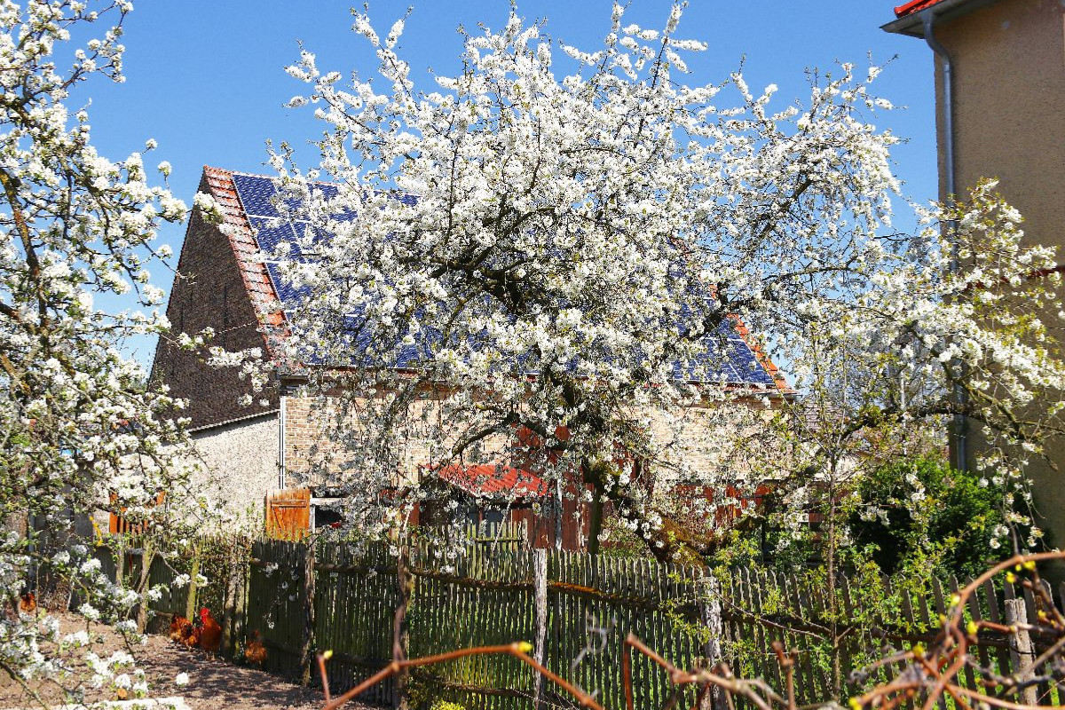 Fresdorf in Brandenburg