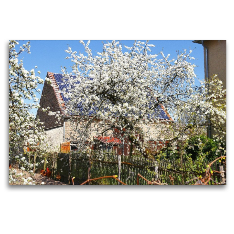 Fresdorf in Brandenburg
