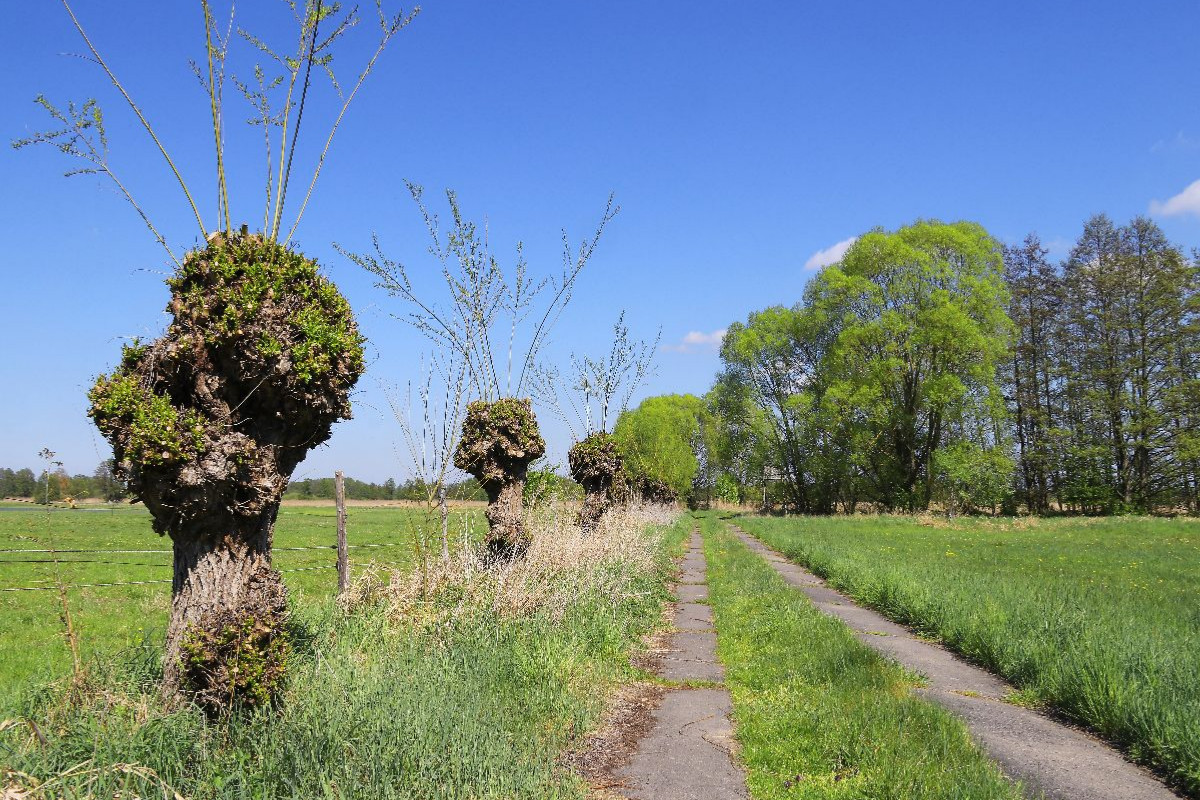 Feldweg in Körzin, ein Dorf in Brandenburg