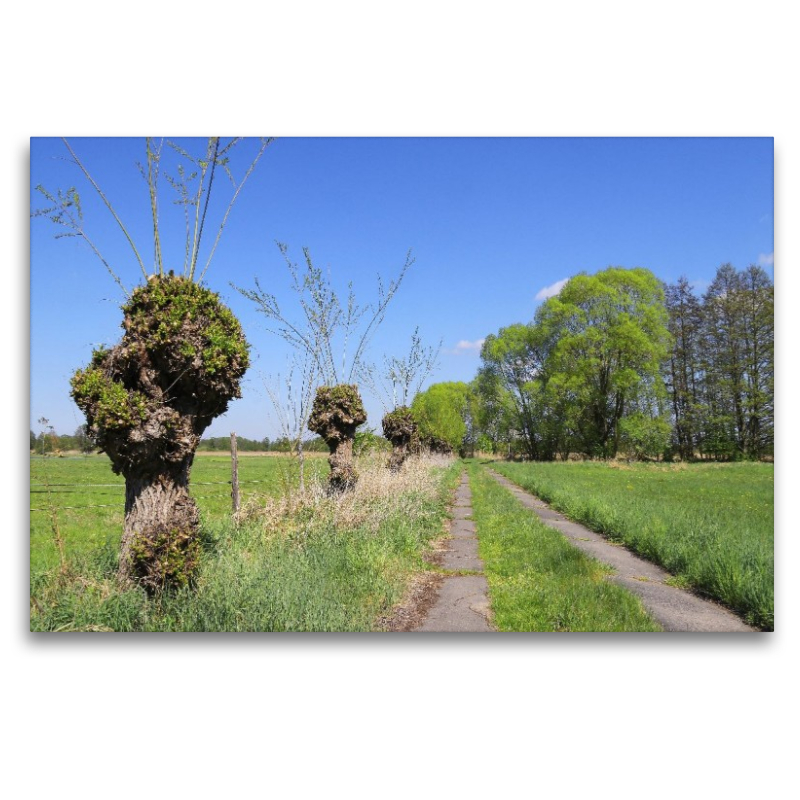 Feldweg in Körzin, ein Dorf in Brandenburg