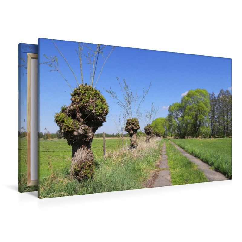 Feldweg in Körzin, ein Dorf in Brandenburg
