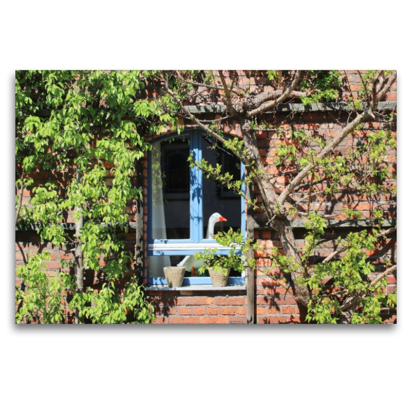 Ländliche Idylle in Brandenburg