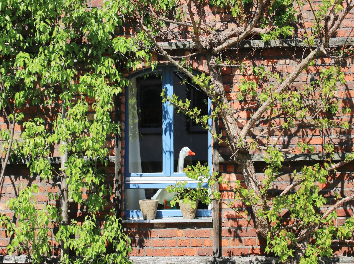 Ländliche Idylle in Brandenburg