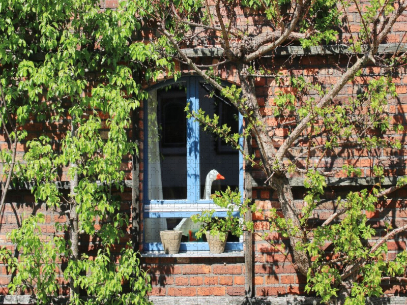 Ländliche Idylle in Brandenburg
