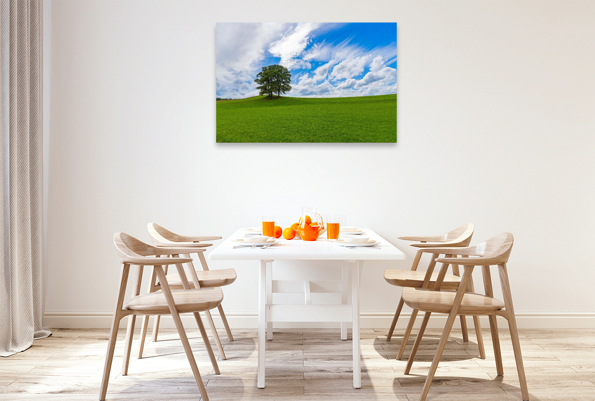 Wiesenlandschaft in der Eifel