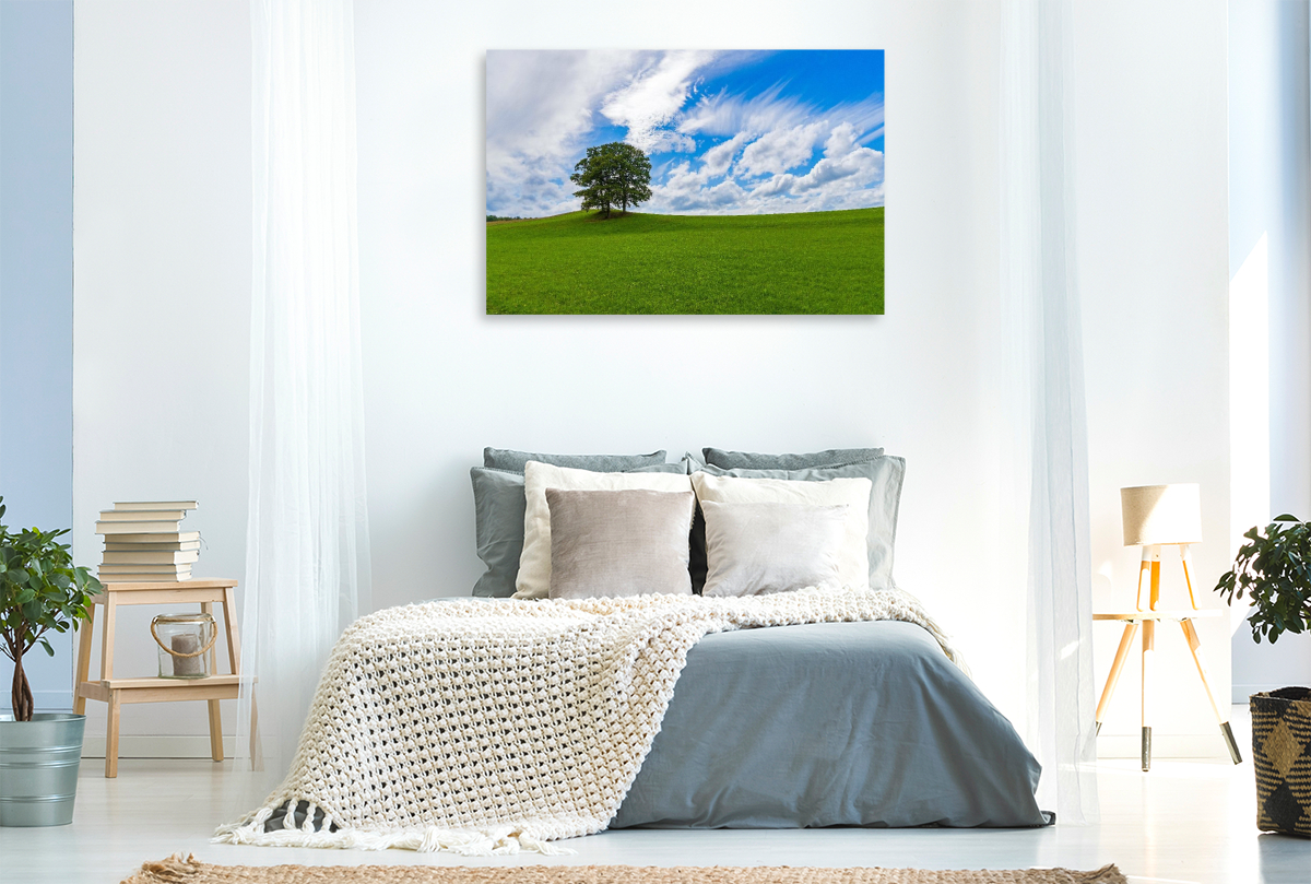 Wiesenlandschaft in der Eifel