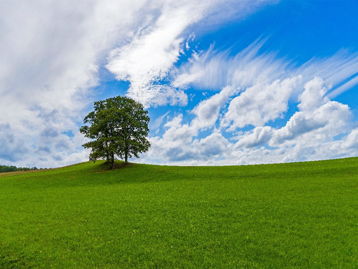 Wiesenlandschaft in der Eifel