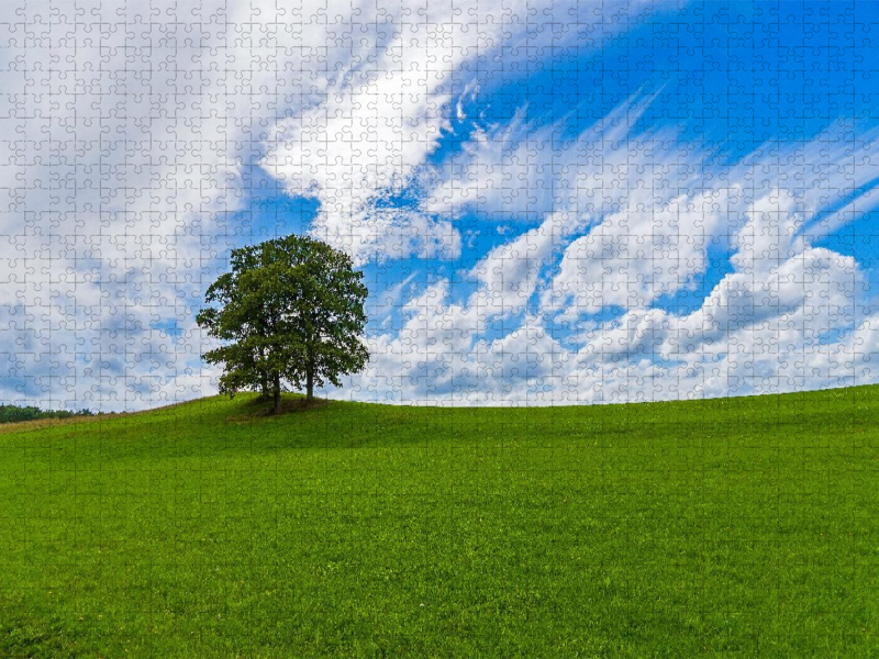 Wiesenlandschaft in der Eifel